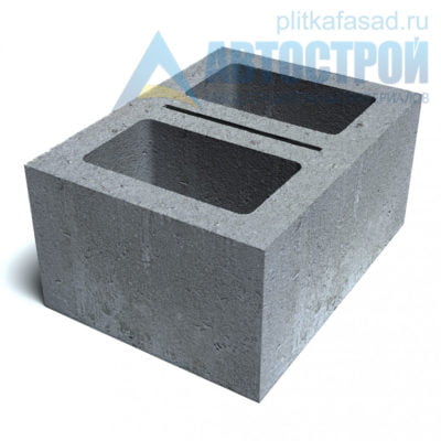 Блок бетонный стеновой КСР-ПР-ПС-39-100-F75-1100 (СКЦ) 290x190x390мм двухпустотный